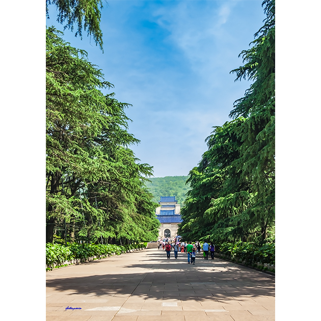 南京中山陵 01ms00165